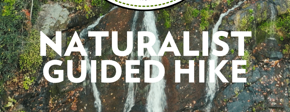 Guided Nature Hike